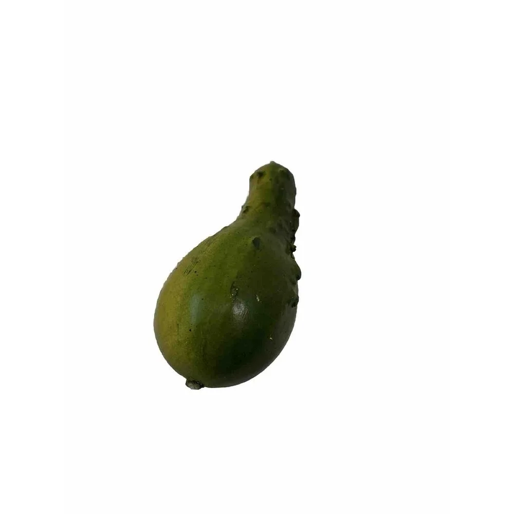 Faux Green Gourd 4.5 Inches Tall Harvest Traditional Home Decor